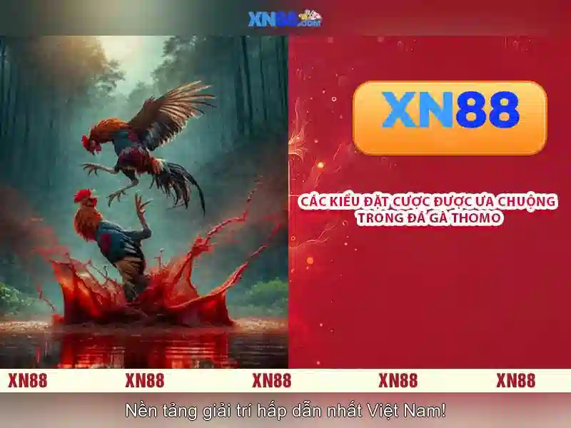 Lịch sử và sứ mệnh