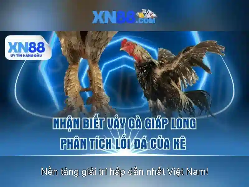 Việt Vị Trong Bóng Đá