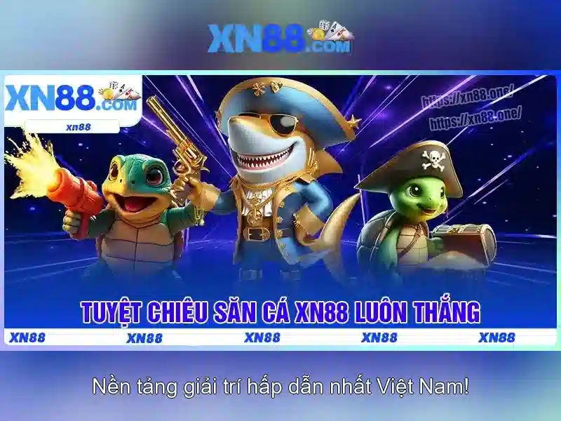 Kết luận