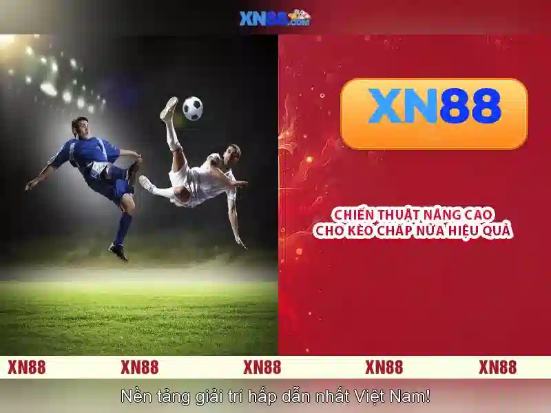 Kết luận về xn88