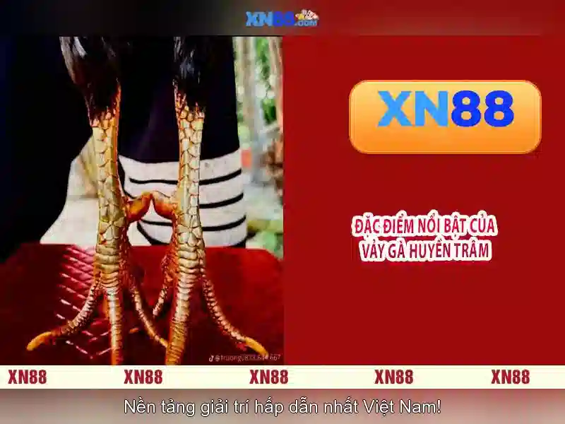 Tài nguyên và sản phẩm tại xn88 Tài nguyên và sản phẩm tại xn88