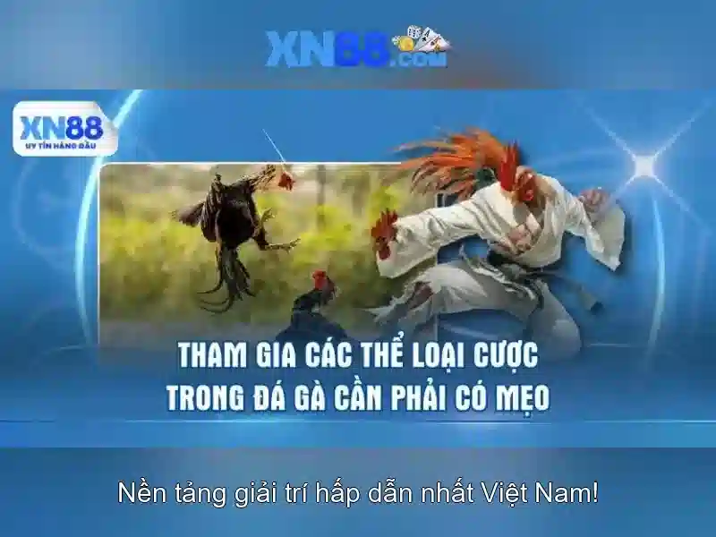 Các tính năng nổi bật Các tính năng nổi bật