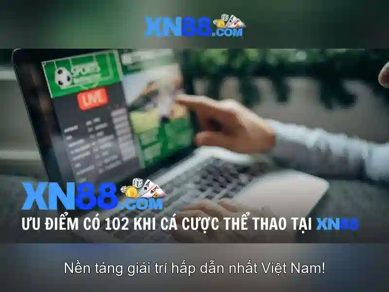Các sản phẩm và dịch vụ nổi bật