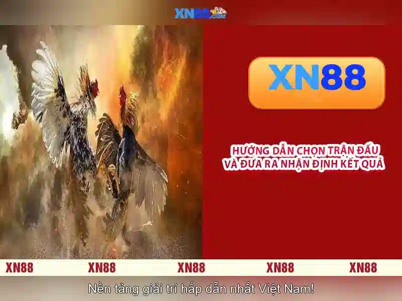 Trải nghiệm người dùng và giao diện Trải nghiệm người dùng và giao diện