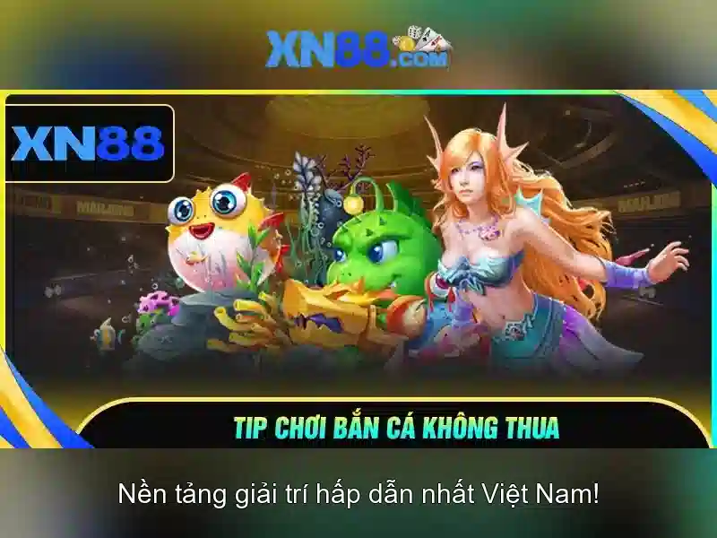 Giao diện và trải nghiệm người dùng