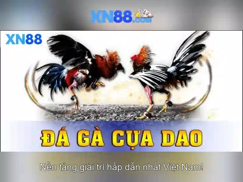 Việt Vị Trong Bóng Đá