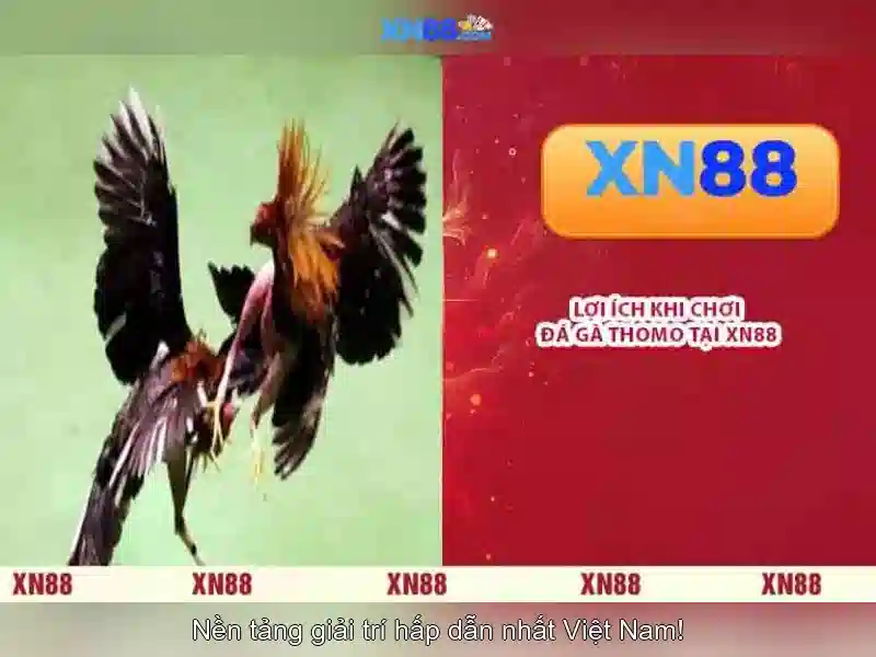 Việt Vị Trong Bóng Đá