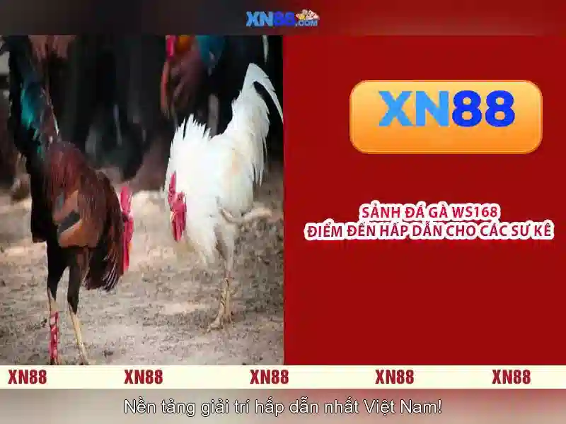 'Nền tảng và dịch vụ'