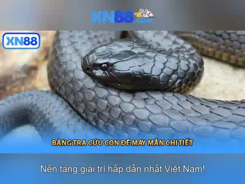 Việt Vị Trong Bóng Đá