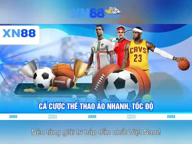 Lưu ý pháp lý và an toàn khi tham gia Lưu ý pháp lý và an toàn khi tham gia